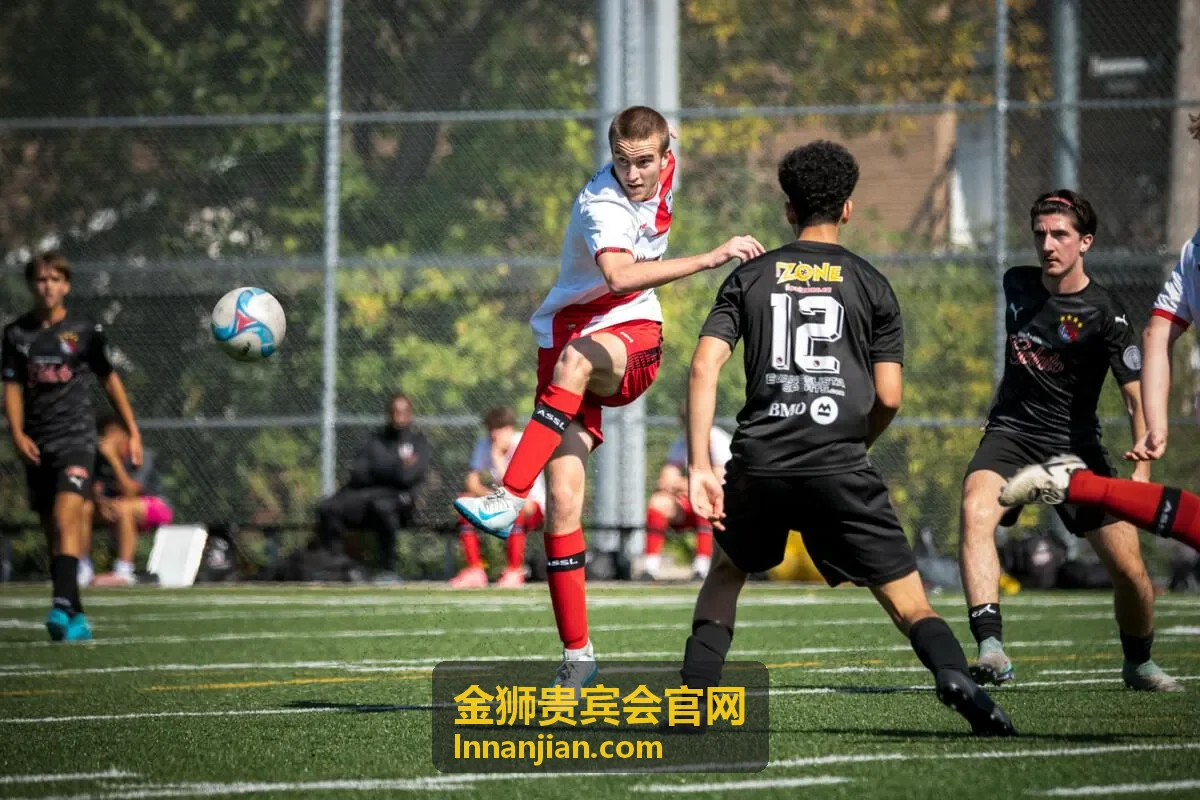 金狮贵宾会高端制造案例